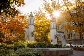 IU Sample Gates